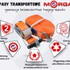Pasy transportowe z atestem Morga